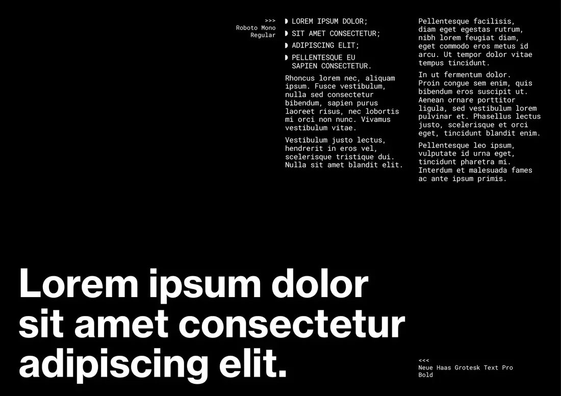 Dript typefaces, Neue Haas Grotesk and Roboto Mono