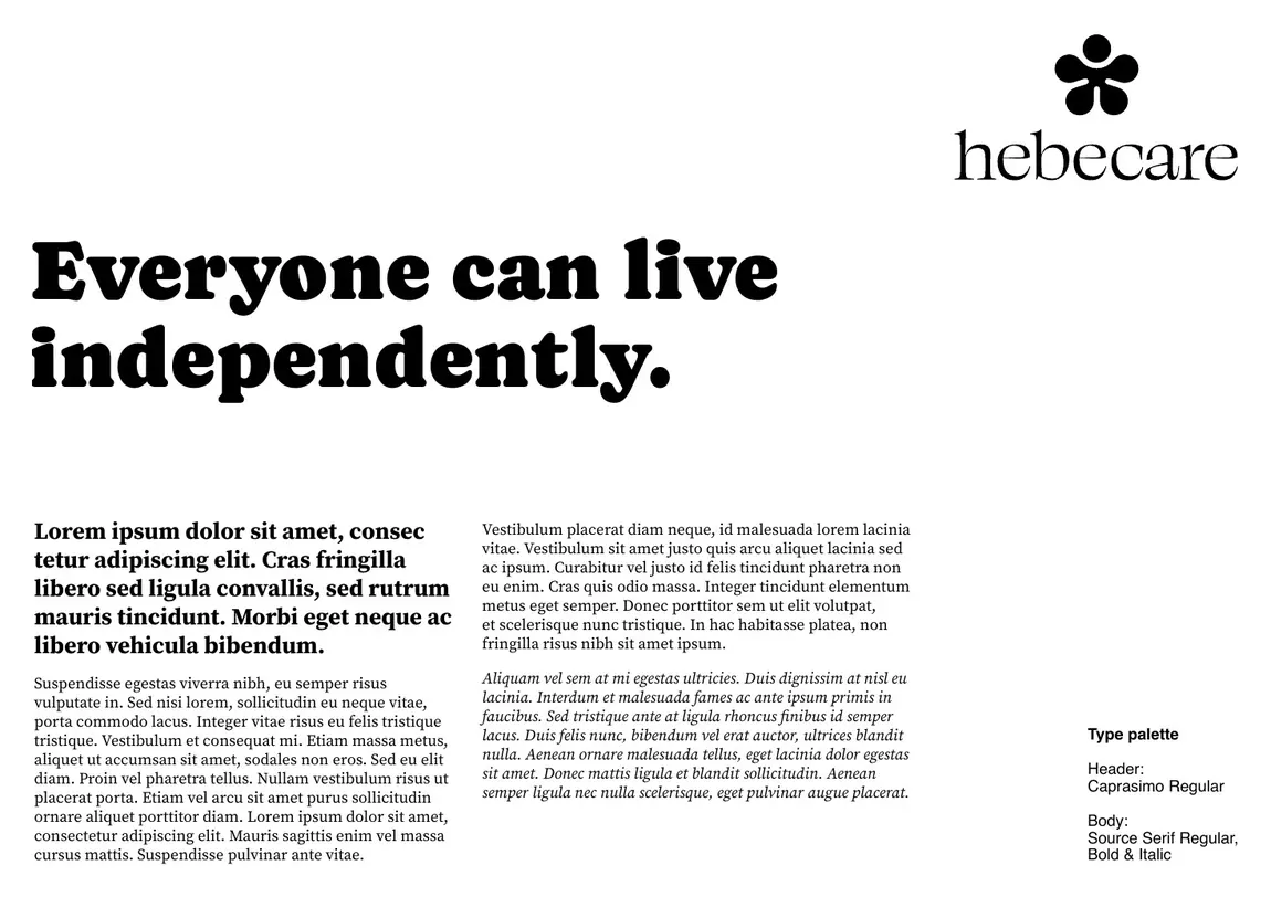 Hebe Care brand line and body copy setting