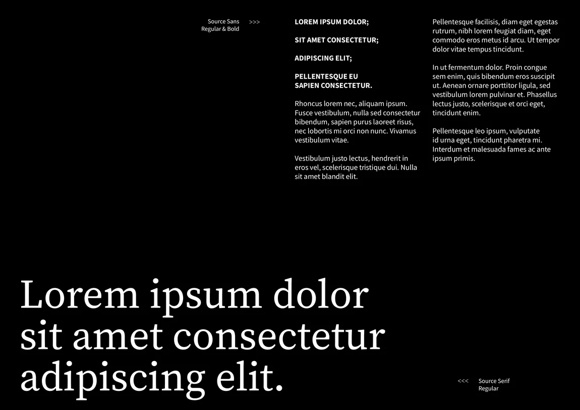 Panaso Capital typographic setting